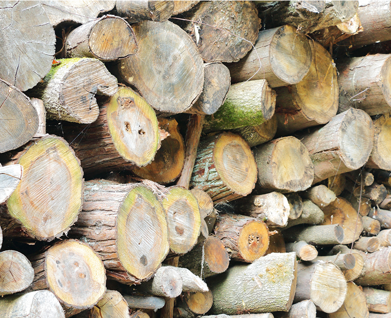 地域木材利用コンサルタントのイメージ